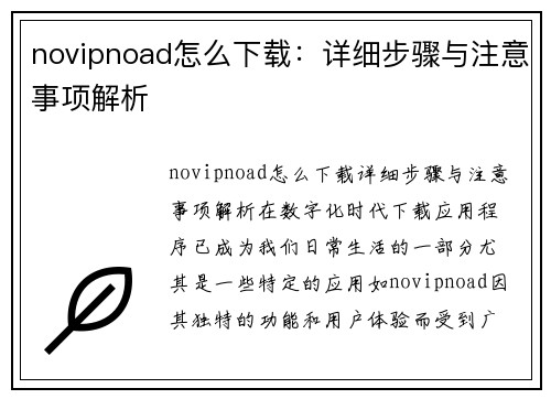 novipnoad怎么下载：详细步骤与注意事项解析